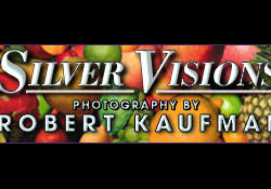Silvervisions